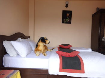 Blue Mountain Home Stay